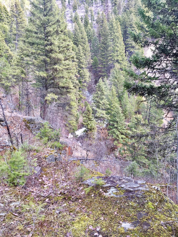 Old Railroad Grade Mountain Biking Trail Kila, MT