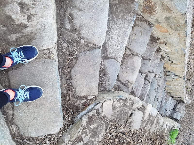 Point Lookout Trail Greenway Mountain Bike Trail Black Mountain