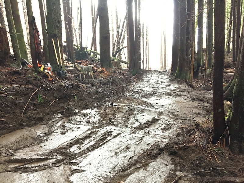 We considered holding an early season mud wrestling tournament but our insurance doesn t cover it.