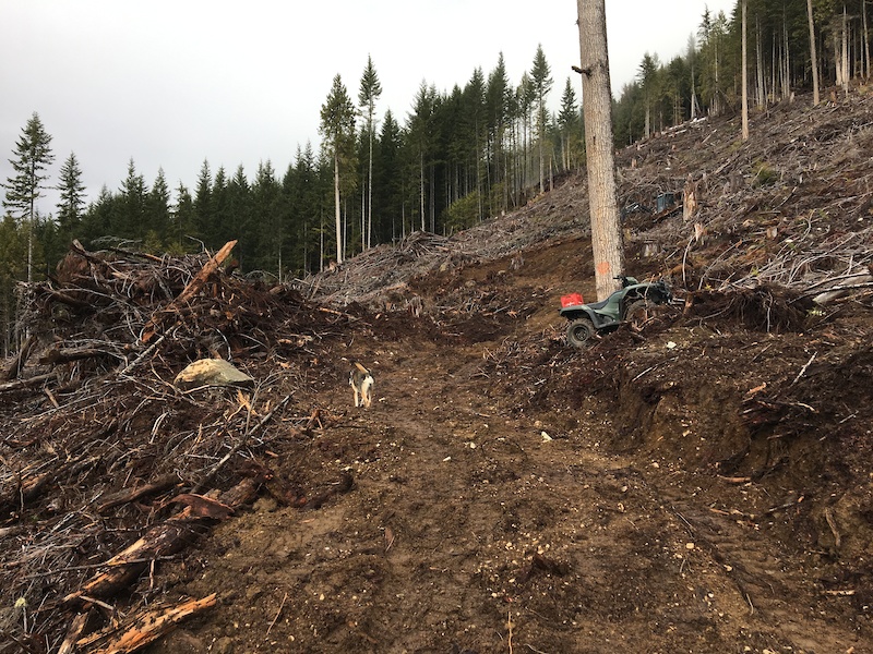 Squamish s Diamond Head Project