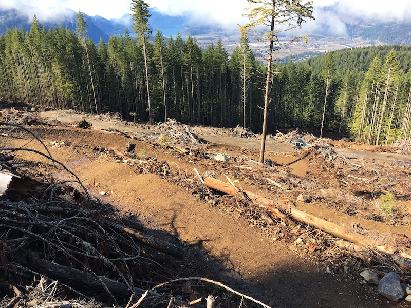 Squamish s Diamond Head Project