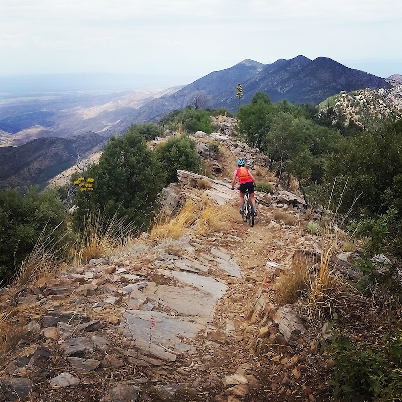 AZT (Oracle Ridge) Mountain Bike Trail Tucson, Arizona