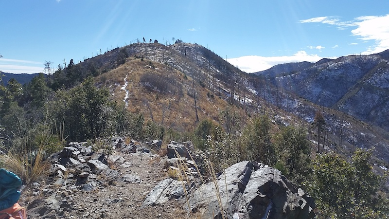AZT - Oracle Ridge (Upper) Multi Trail - Summerhaven, AZ