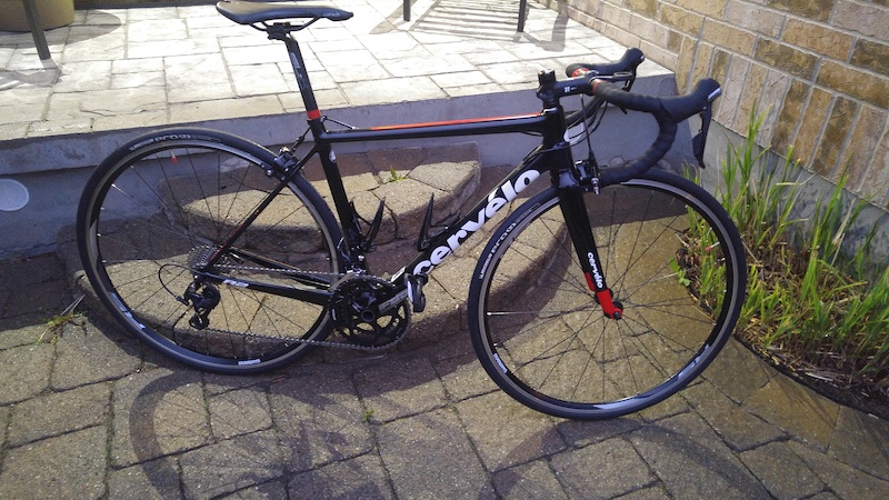 cervelo 51cm for sale