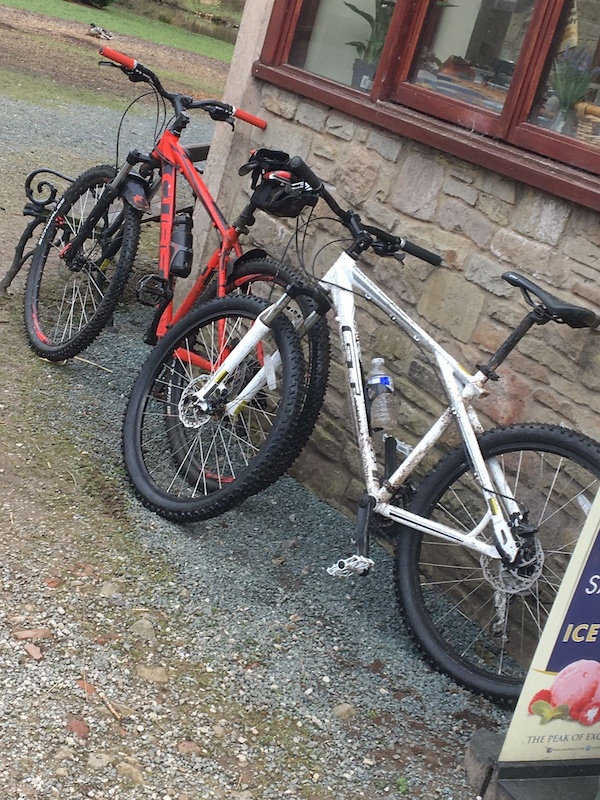 blackburn outpost fat bike rack