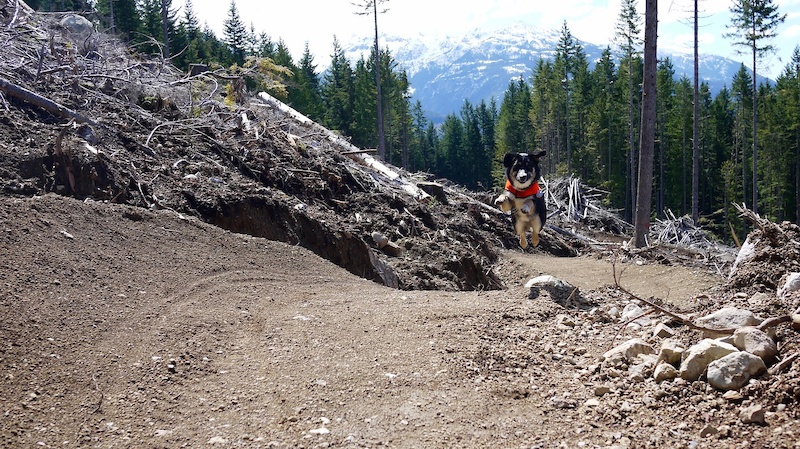 Squamish s Diamond Head Project
