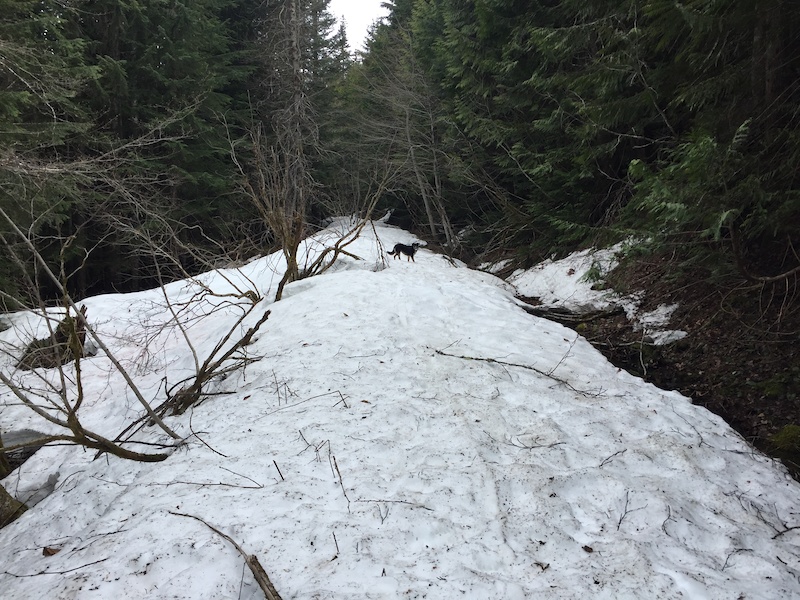 Squamish s Diamond Head Project