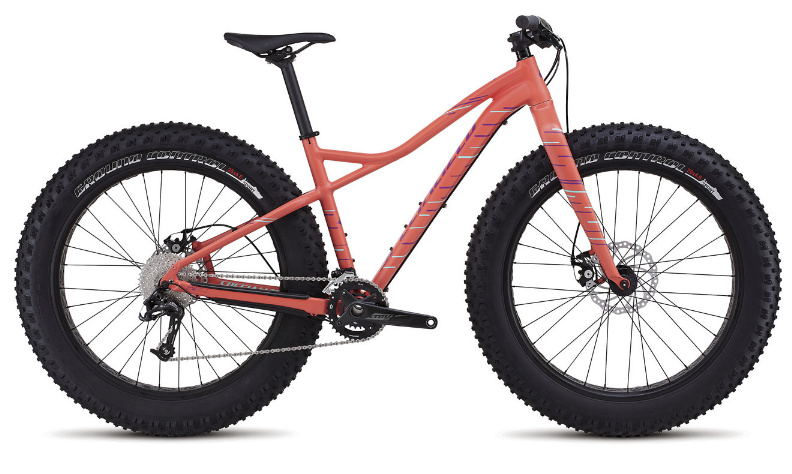 specialized hellga expert