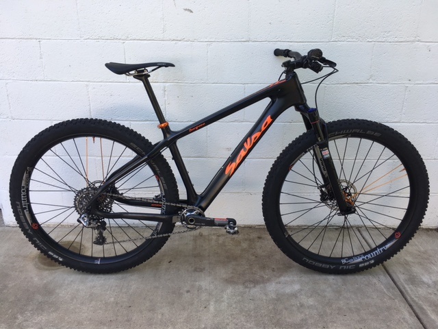salsa 29er