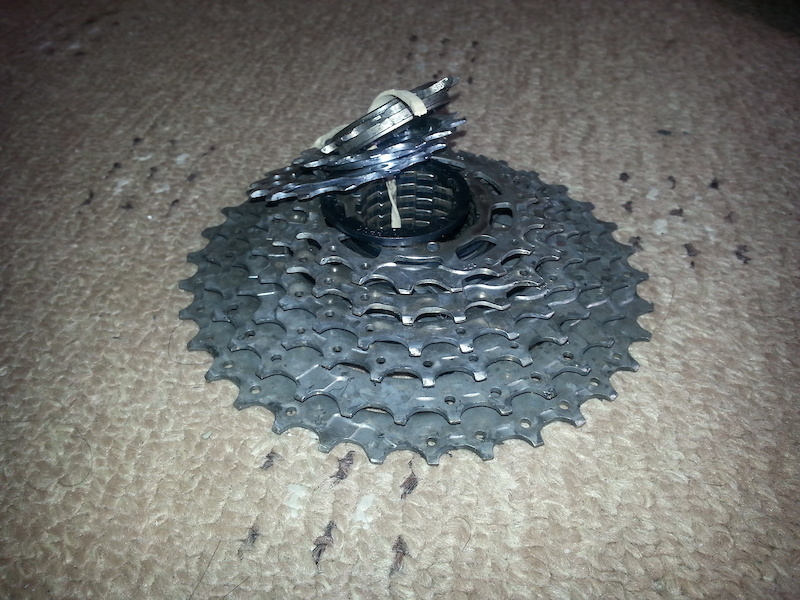 hg 12 speed cassette