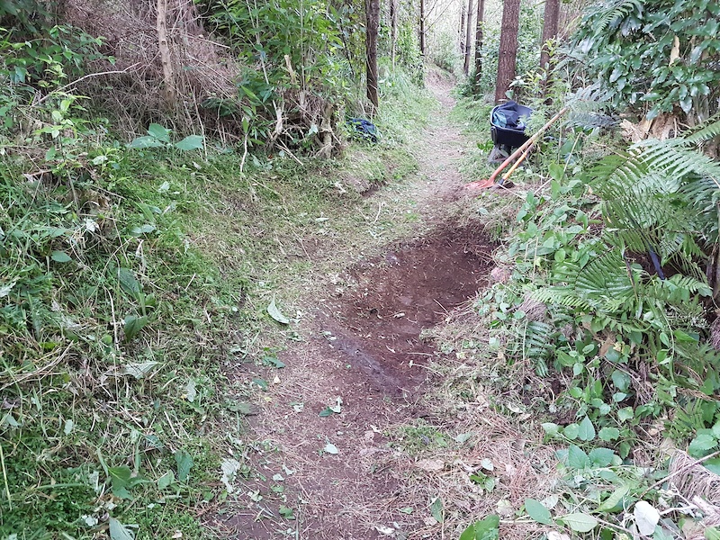 mountain biking new plymouth