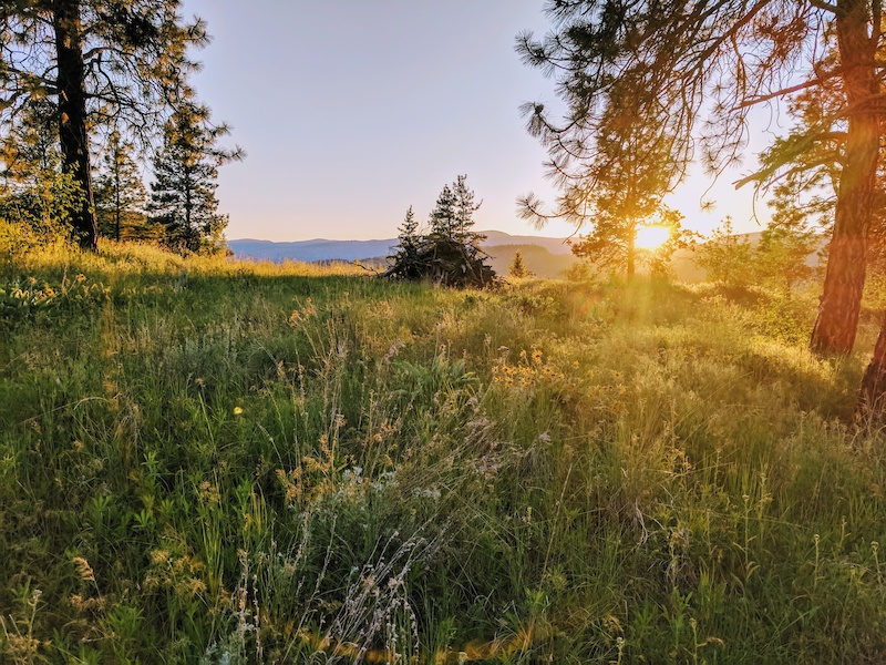 Mt. Baldy Base Loop Mountain Biking Trail Kelowna, BC
