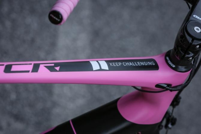 Tom Dumoulin's pink Giant TCR Advanced SL - Gallery

Dutchman receives custom bike in recognition of overall victory