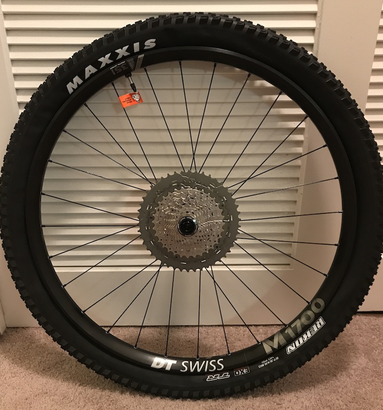 maxxis dt swiss