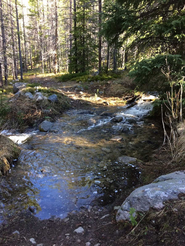Lost Creek State Park, Anaconda Mountain Biking Trails Trailforks