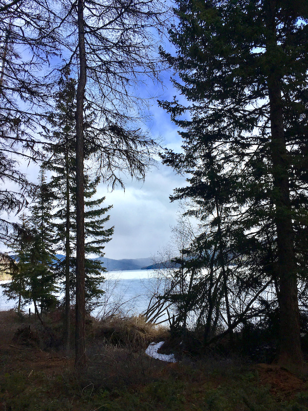 Ashley Lake Access trail Mountain Bike Trail Kalispell, MT
