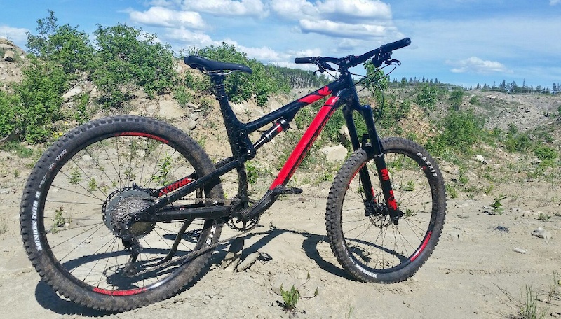 rocky mountain altitude carbon 50