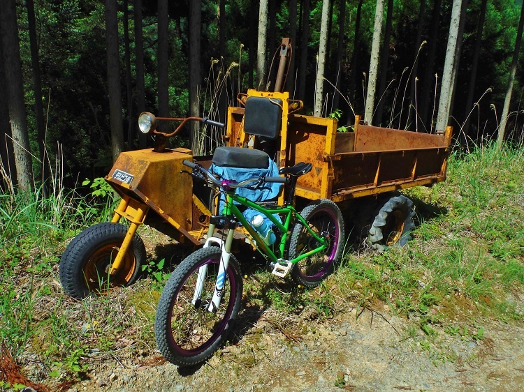 Work vehicle in the forest.
The name is Delbis.