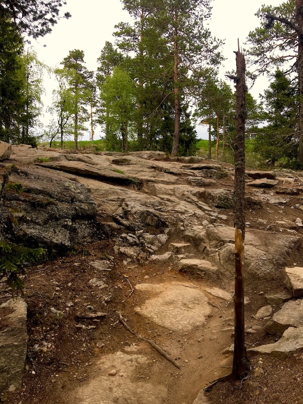 Pop Opp I Topp Mountain Biking Trail Ljusdal