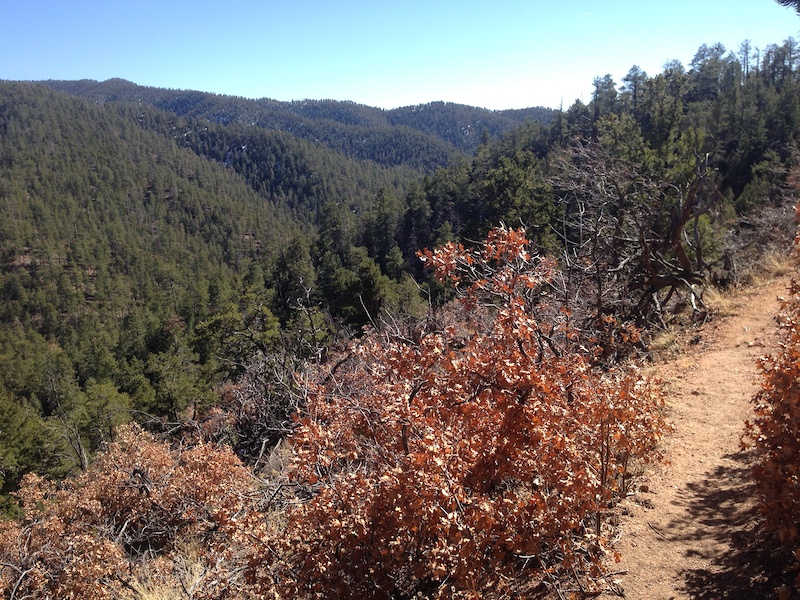 Saddleback Mountain Biking Trail Santa Fe, New Mexico