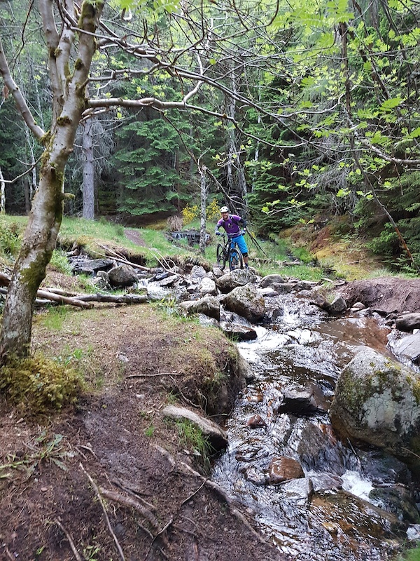 Ed's Trail Mountain Biking Trail Aviemore Trailforks