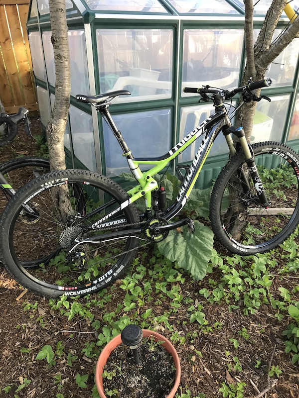 cannondale trigger 3 blue book