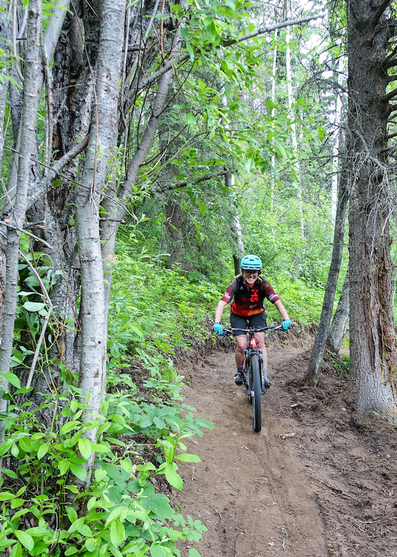 Ridge Roller Mountain Biking Trail Edson, AB