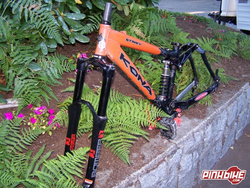 overview of the frame and fork