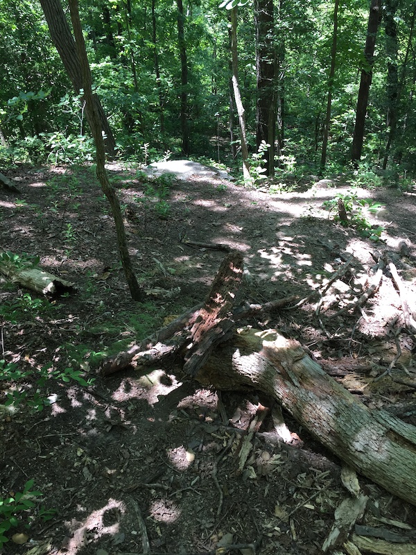 powhite park mountain bike trail