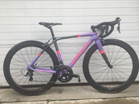 garneau r1
