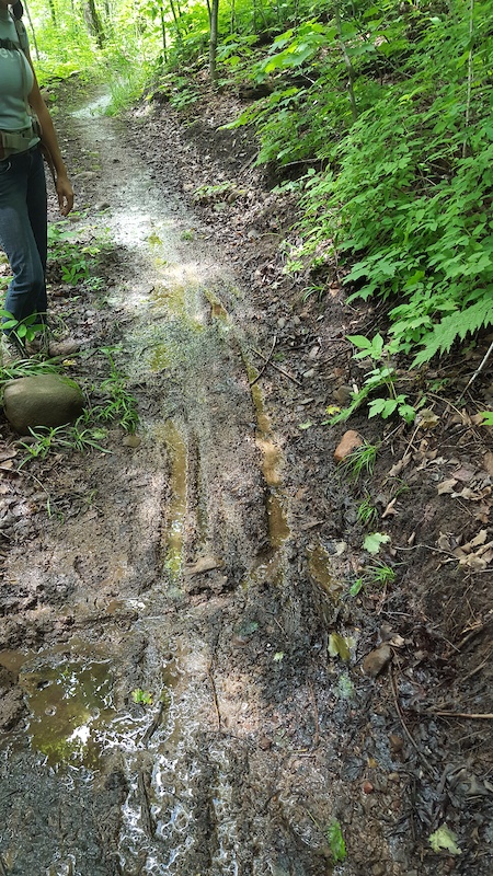 britton peak mountain bike trail