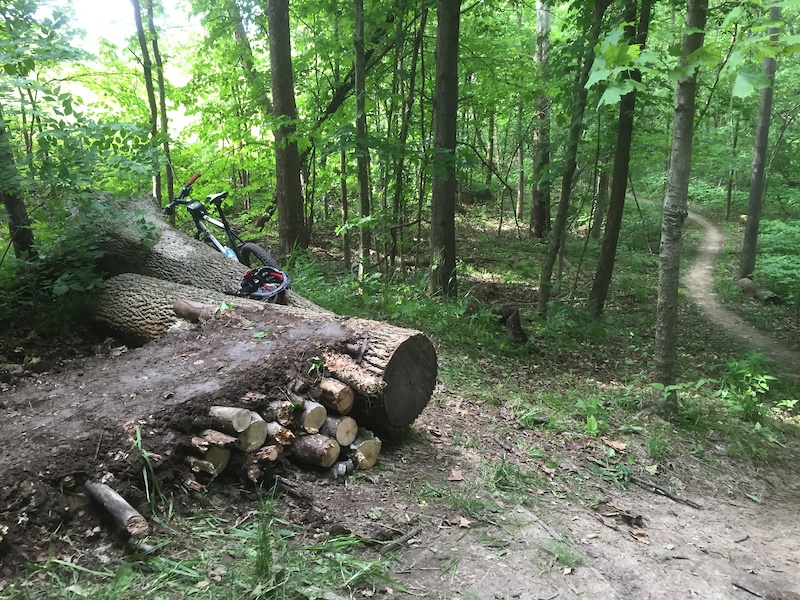 Springfield, Illinois Mountain Bike Trails Trailforks