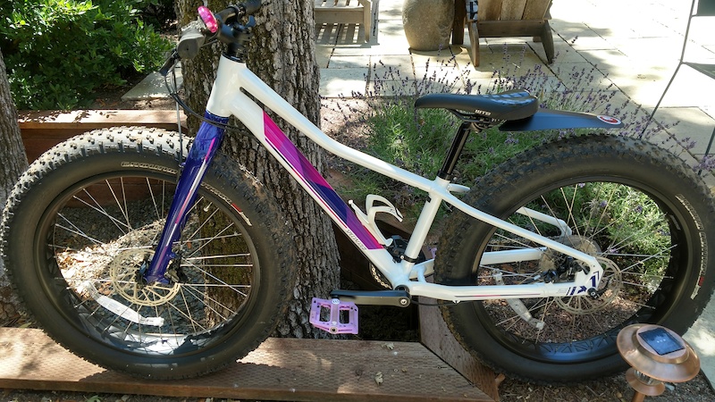 specialized fatboy 24 for sale