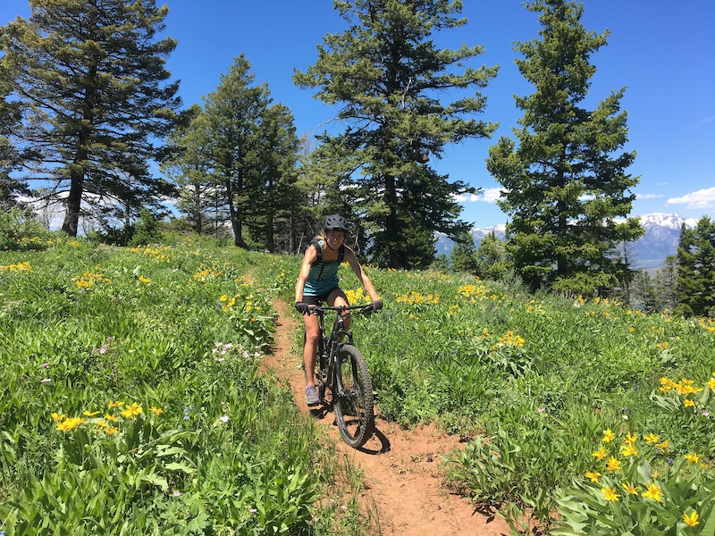 Jackson, Wyoming Mountain Bike Trails Trailforks