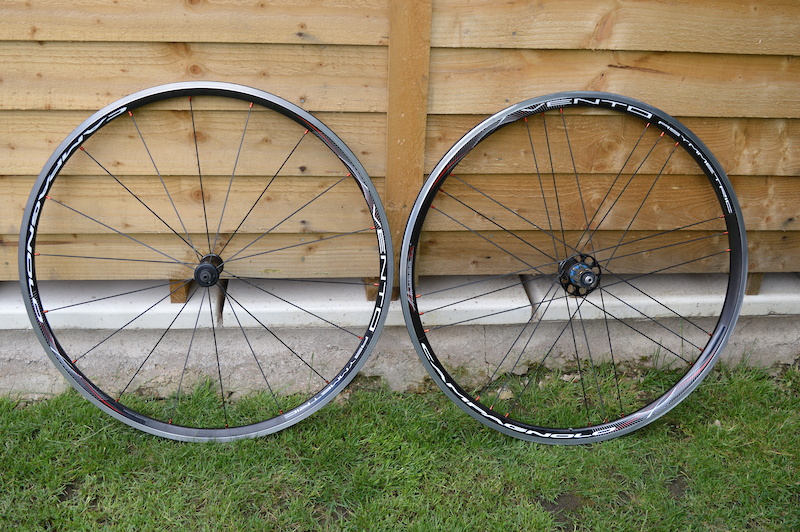 campagnolo VENTO asymmetricの+spbgp44.ru