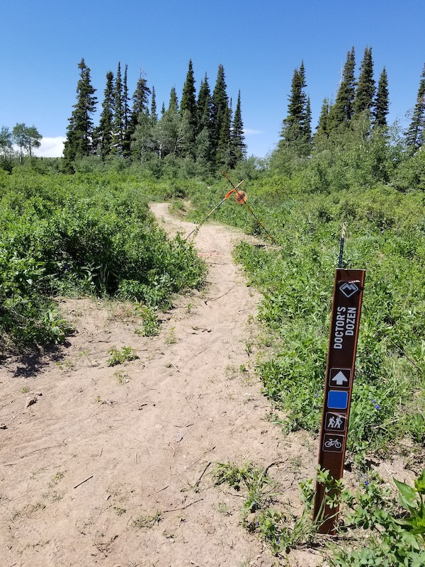 Sunrise Mountain Biking Trail Eden, Utah Trailforks