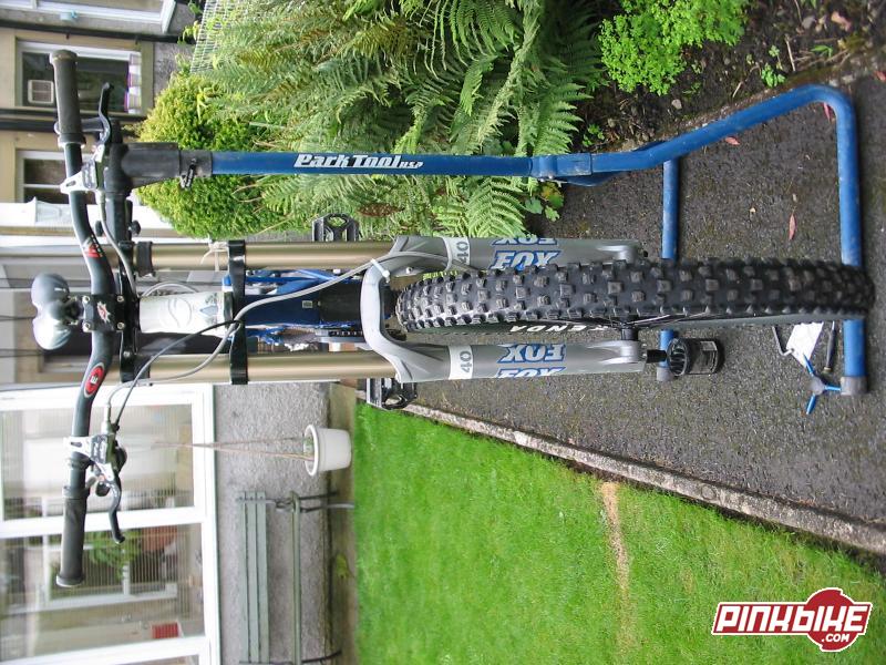 giant glory dh for sale