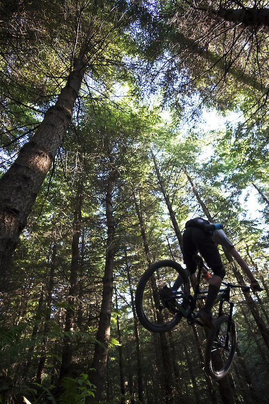 Pump Track Mountain Bike Trail Bellingham, Washington