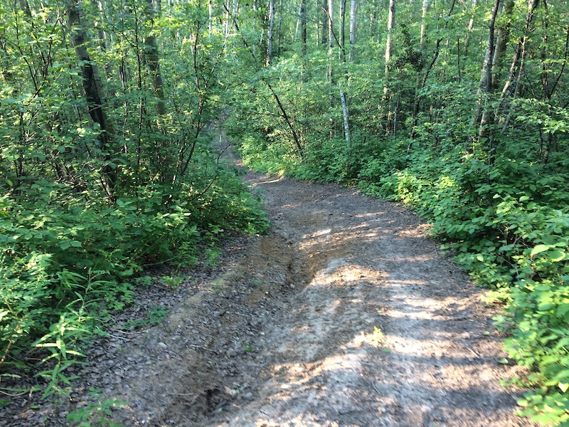 White Earth Creek Mountain Biking Trail Newbrook