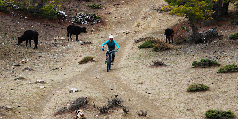3 day mountain bike trip