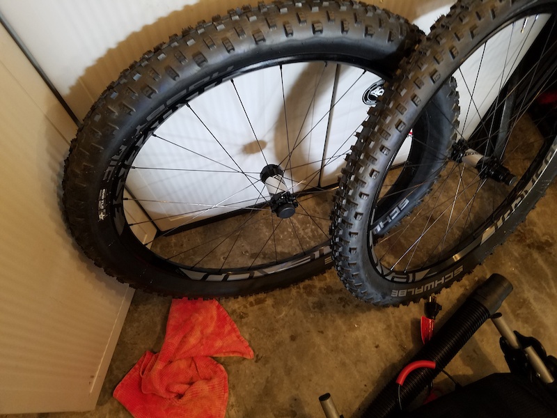 roval fattie 650b