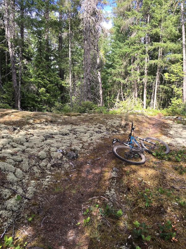 NMA Mountain Biking Trail - Sechelt, British Columbia