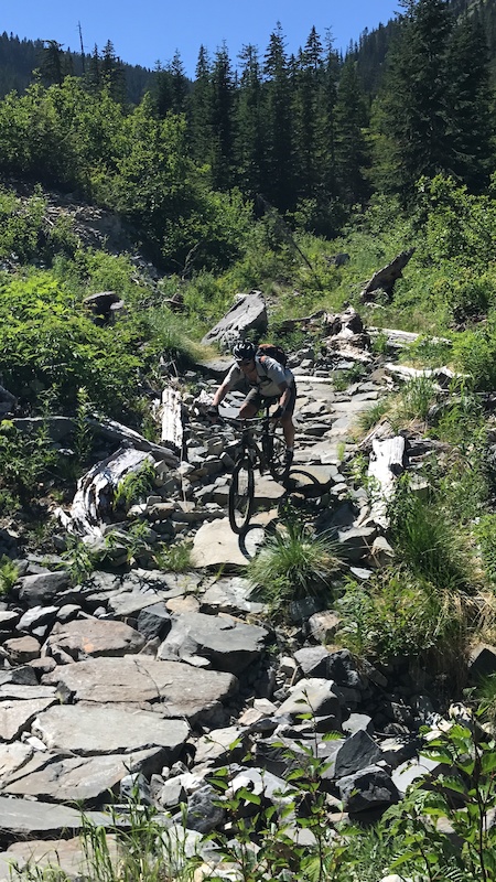 Harris lake best sale mtb trails