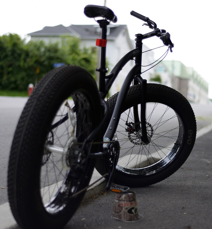 evo brewster fat bike