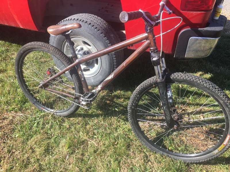 2010 Pirate Themed Specialized P2