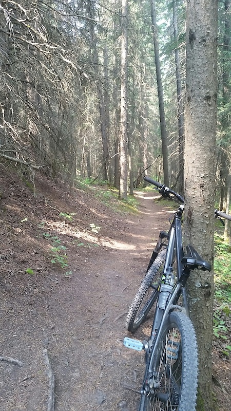 cochran's mountain biking