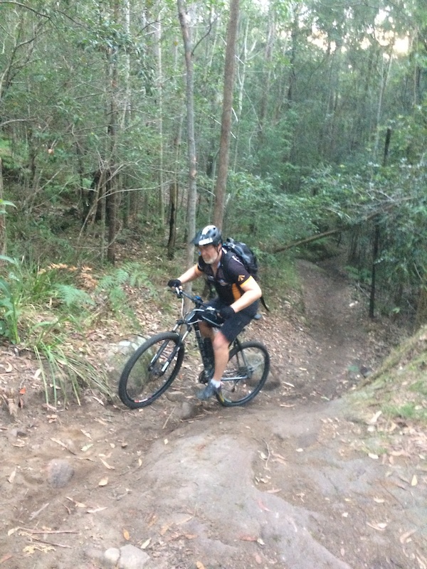 Browns Downs Mountain Biking Trail Wyong Trailforks