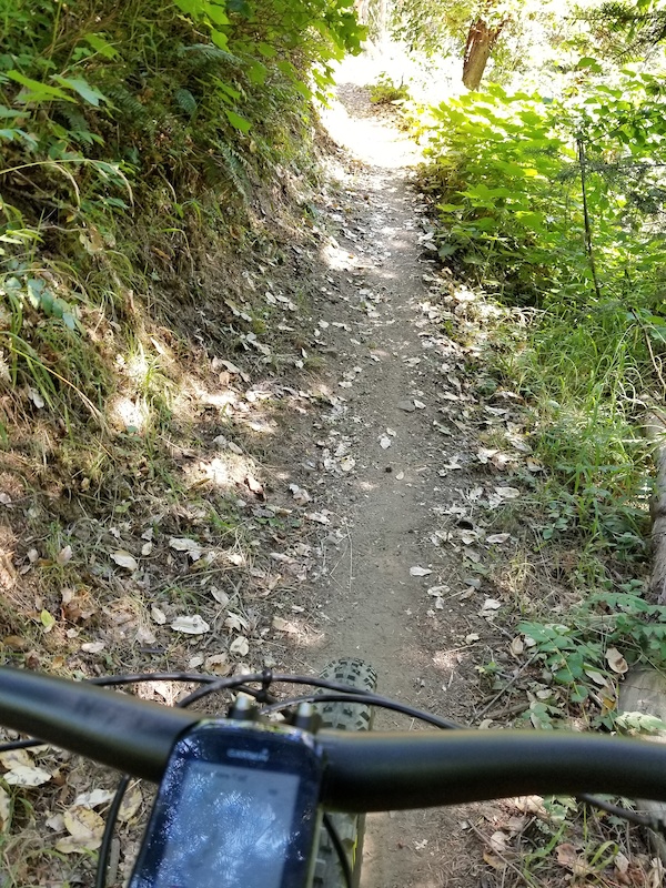 Ridge View Trail Mountain Biking Trail Jacksonville