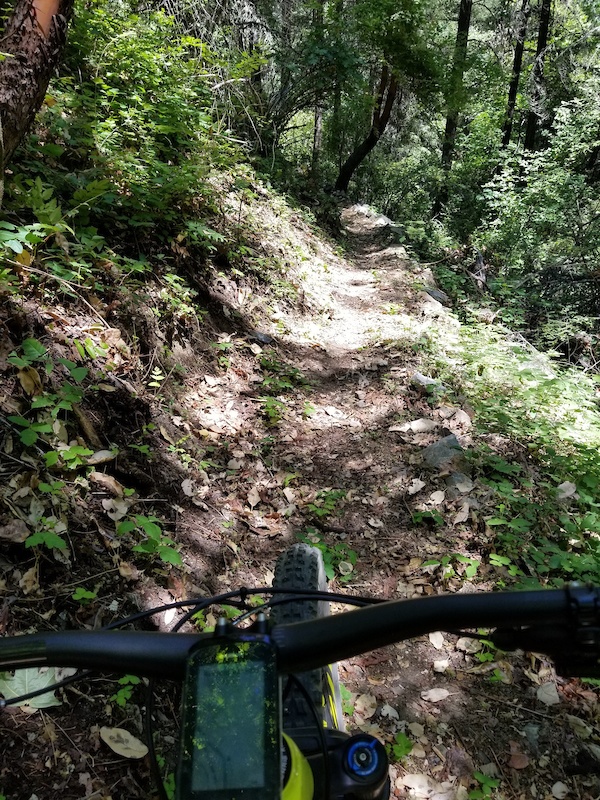 Slip'n Slide Bike Trail Mountain Biking Trail Jacksonville
