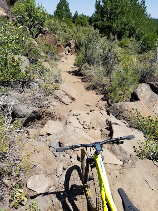 C.O.D. Mountain Biking Trail Phil's, Bend, Oregon